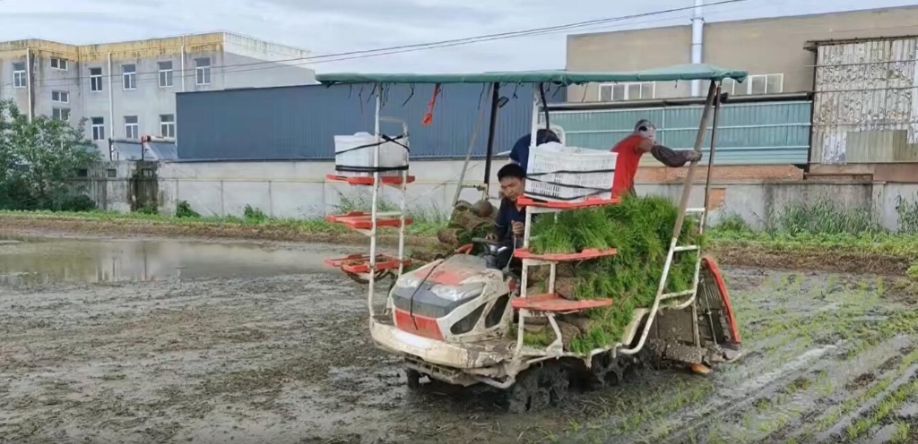 江苏靖江球盟会小8行杂交水稻作业中，，，，，效果效率都相当好